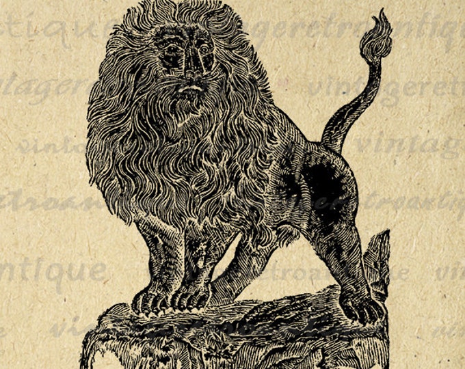 Majestic Lion Digital Graphic Printable Image Antique Lion Illustration Download HQ 300dpi No.3921