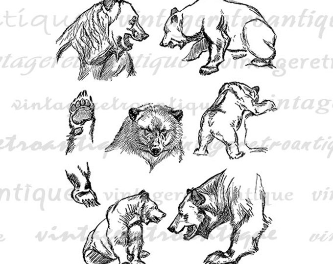 Printable Digital Antique Bear Collage Sheet Graphic Blackbear Image Download Vintage Clip Art Jpg Png Eps HQ 300dpi No.1142