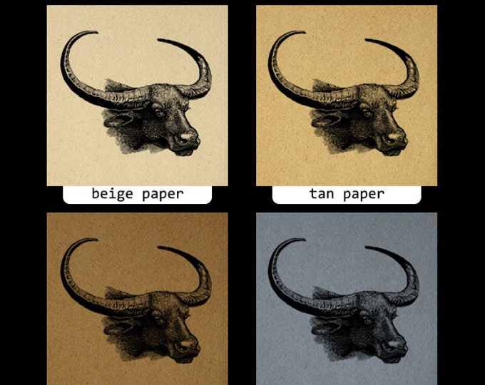 Digital Buffalo Graphic Image Bison Horns Printable Western Steer Download Jpg Png Eps HQ 300dpi No.463