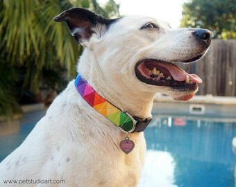 Rainbow Dog Collar, LGBT Pride Dog Collar, Designer Dog Accessories, Colorful Pet Accessories, Adjustable Dog Collar, Plastic Nickel Brass