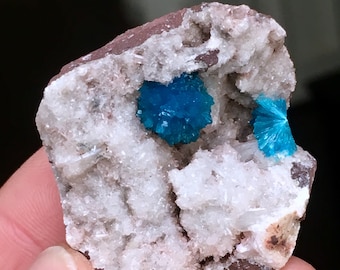 Top Quality 20g Vibrant Cavansite w/ Transparent Stilbite Crystal Specimen - Wagholi Mine, Maharashtra, India - Item:CV17012