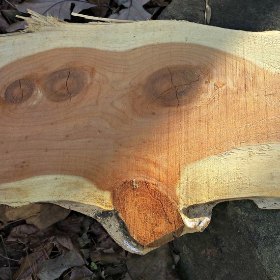 Cedar Boards / 4 Cedar Planks / Rough Cut Cedar Planks / rough