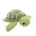 small stuffed turtle