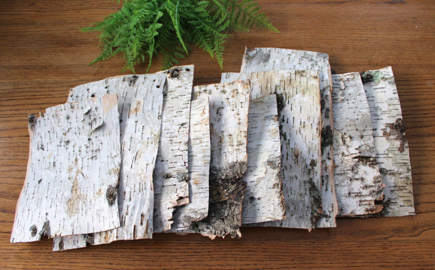 10 Large Birch Bark Sheets All Natural Birch Bark Paper Birch Bark Crafts Paper Birch