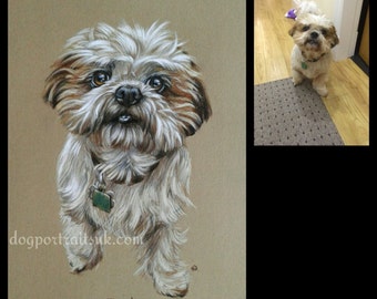 Custom Pet Portrait, Pet Drawing, Pet Memorial, Dog Portrait, Realistic Pet Portrait from Your Photo, Gift Idea, Cat Portrait