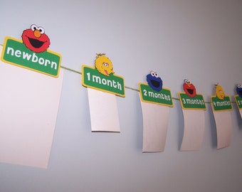 Elmo, Sesame Street Photo Banner, Elmo Banner, Sesame Street Party, First Birthday Banner, First Year, Elmo Party, Big Bird, Cookie Monster