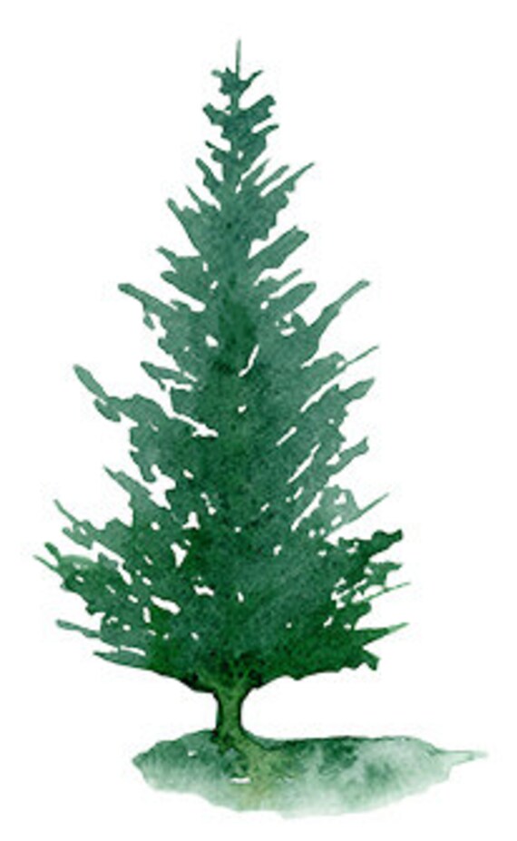 Watercolor Pine Trees Clipart, PNG Instant Download, Hand ...