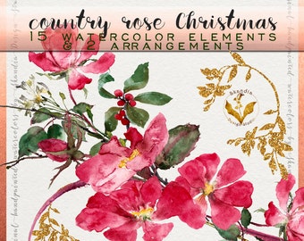 Watercolor Christmas Clipart, Watercolor roses, Christmas clipart, Christmas rose clipart, watercolor clipart, holiday clipart, rose clipart