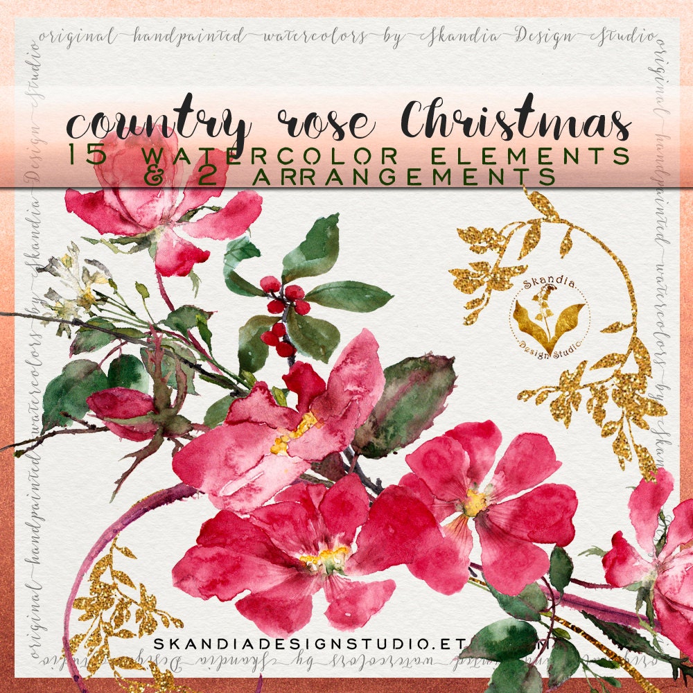 christmas rose clipart - photo #23