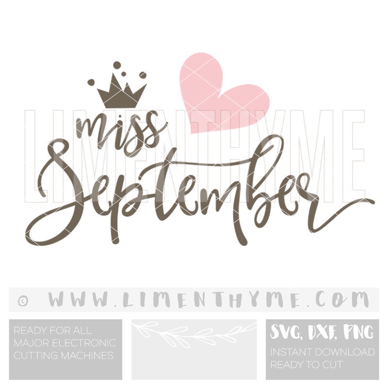Baby Girl Birthday SVG Little Miss September / birthday onesie