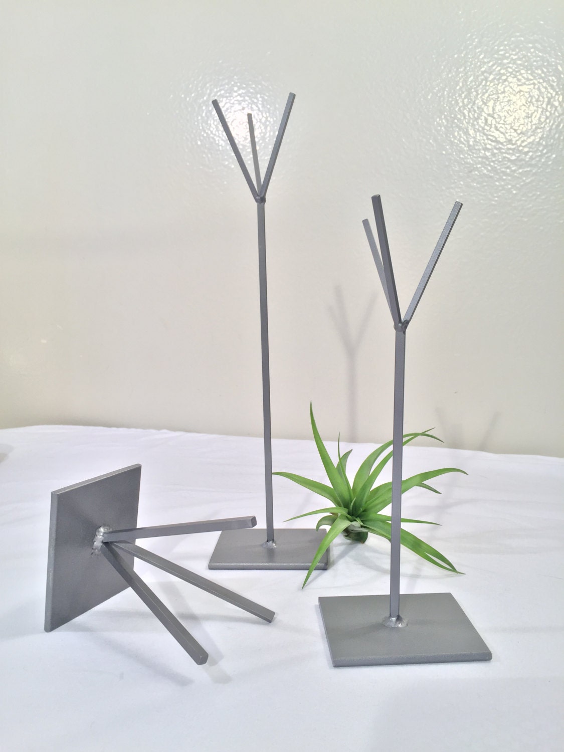 Modern Air Plant Stands