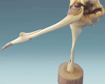 Wooden bird, wood birds, carving wood, wood bird, bird carving, carved birds, wood home decor, wood carving birds, vintage carved bird, bird