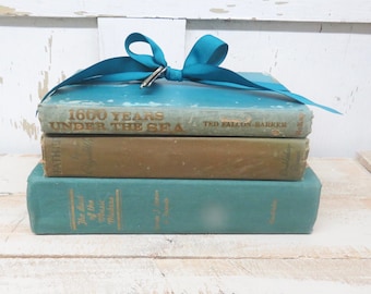 Vintage Books, Aqua Blue Beige Books, Old Blue Books, Decor Books, Antique Books, Home Office Decor, Instant Library, Shabby Cottage Chic