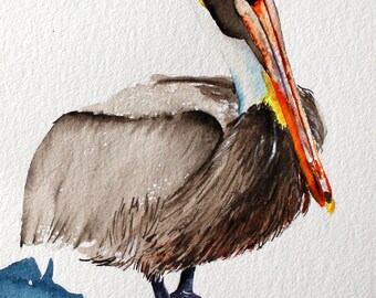 Original watercolor painting bird art Brown Pelican by Betty Moore