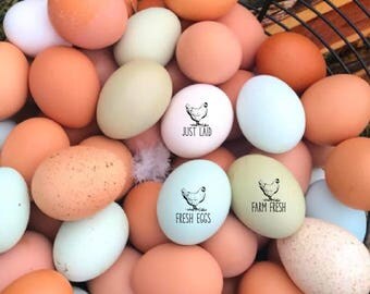Chicken Egg Stamps - Mini Free Range Chicken Stamps - Crazy Chicken Lady Gift - Unique Gift Idea - Fresh Eggs Stamp - Farm Fresh - Just Laid