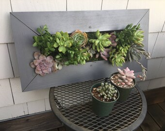 LARGE Hanging Living Wall Picture Frame Succulent Wall Planter