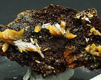 Wulfenite crystals on matrix, Mexico - Mineral Specimen for Sale