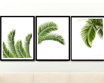 Palm leaf Print, Set of 3 Prints, Triptych, Tropical Print, Printable Art, Instant Download, Home Decor, wall Decor, Wall Art