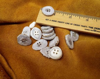 antler buttons,white tail deer antler, buttons