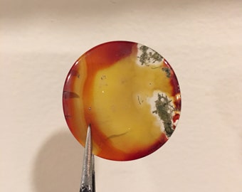 Rare Orissa Red Moss Agate 18.04 ct