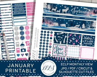January Monthly Kit, January Planner Stickers, Printable Planner Stickers made for Erin Condren LifePlanner, New Year Planner, MV117