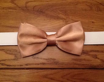 Bow tie dog wedding collar any colour