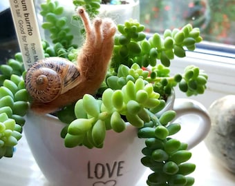 Needle felted snail in a real snail shell