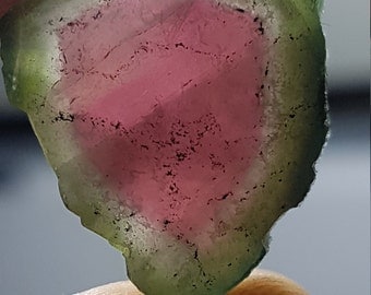 12.4 cts Watermelon Tourmaline Slice - Polished for jewelry or wire wraps or collection