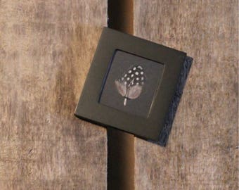 Feather of fowl under framework / unique / the pen box