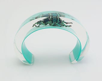 Blue lucite cuff bracelet with real exotic insect