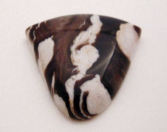 Incredible Petrified Peanut Wood Cabochon