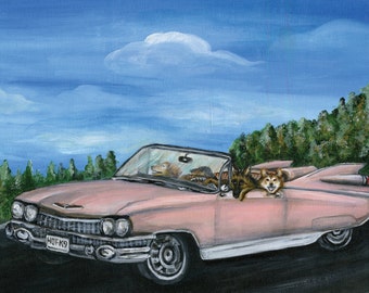 Cruising with the top down