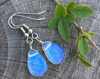 Sea Opal Briolettes . Opalite . Earrings