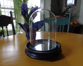 Antique Glass Dome With Mirrored Wooden Base, Cloche Display Dome With Mirrored Base
