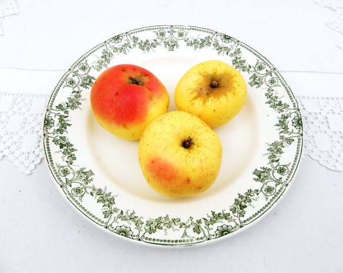 Large Serving Antique French Ceramic Dark Blue Transferware Badonviller Napoleon III Plate, Chateau, Chic, French Country Decor, Brocante