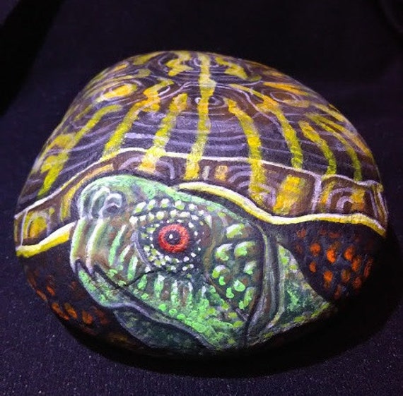 Stone painting/Garden art Rock/Hand Painted Tortoise/Turtle