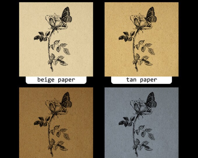 Printable Butterfly and Flower Graphic Download Antique Image Digital Jpg Png Eps HQ 300dpi No.264