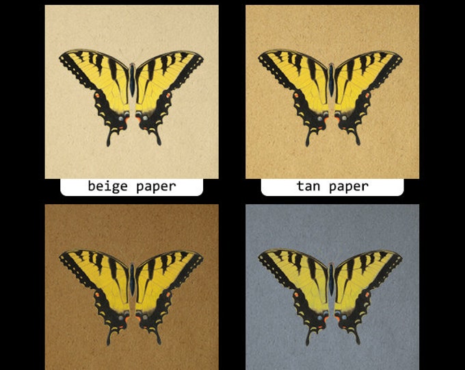 Printable Graphic Yellow Butterfly Image Download Digital Illustration Vintage Clip Art HQ 300dpi No.3883