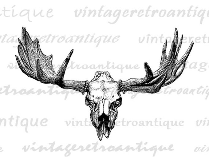 Digital Graphic Elk Skull Image Download Printable Artwork Vintage Clip Art Jpg Png Eps HQ 300dpi No.2125