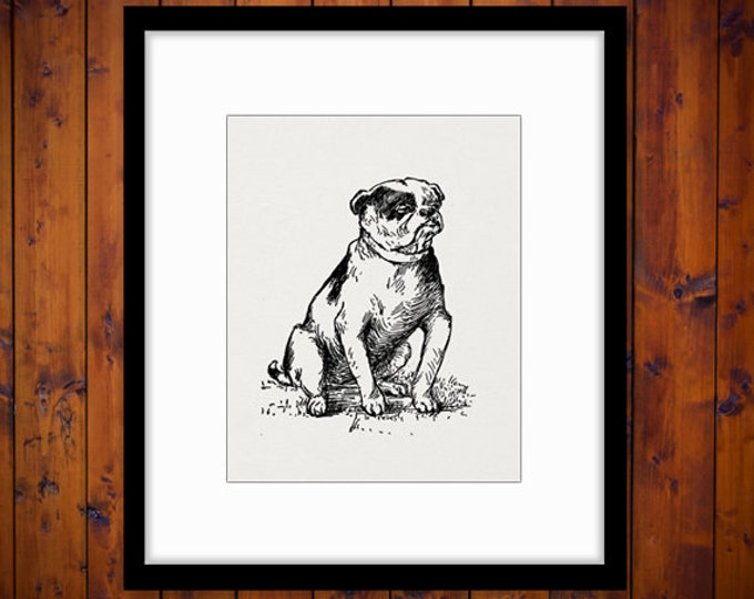 Digital Printable Bulldog Graphic Dog Image Download Vintage Clip Art Jpg Png Eps HQ 300dpi No.263