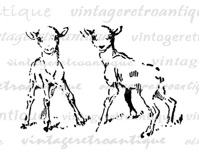 Baby Deer Fawns Image Printable Digital Download Graphic Vintage Clip Art Jpg Png Eps HQ 300dpi No.915