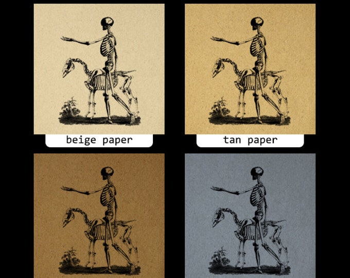 Printable Image Skeleton with Horse Graphic Download Digital Illustration Vintage Clip Art Jpg Png Eps HQ 300dpi No.2216