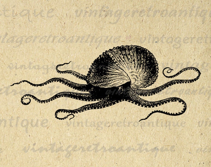 Printable Image Paper Nautilus Download Octopus Squid Graphic Digital Antique Clip Art Jpg Png Eps HQ 300dpi No.2715