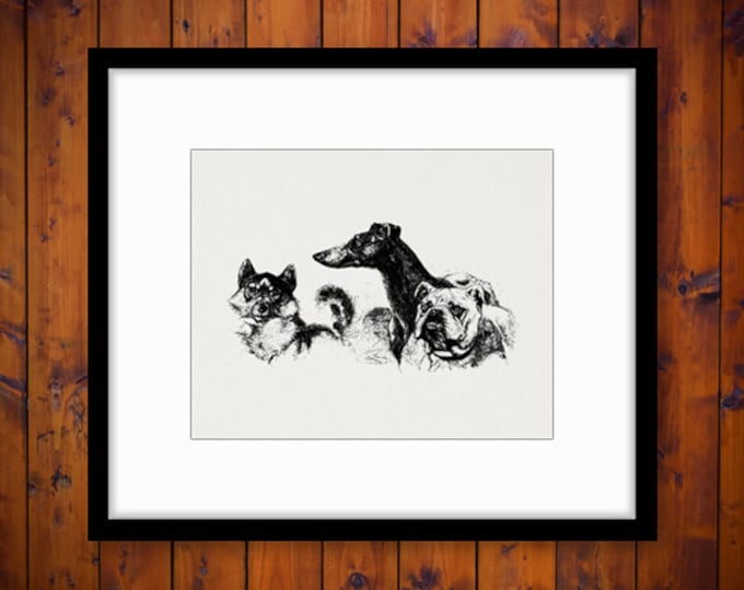 Three Dogs Graphic Digital Printable Antique Download Image Vintage Clip Art Jpg Png Eps HQ 300dpi No.150