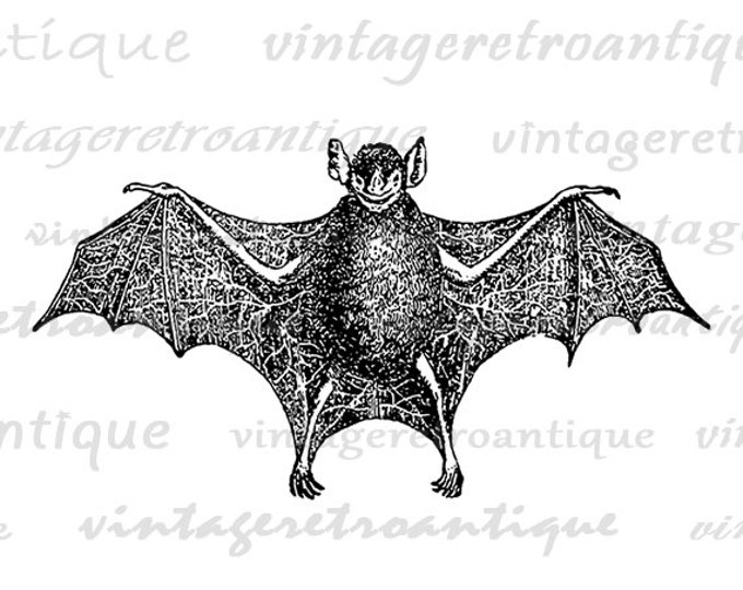 Printable Bat Graphic Download Antique Bat Illustration Image Digital Vintage Clip Art Jpg Png Eps HQ 300dpi No.3924