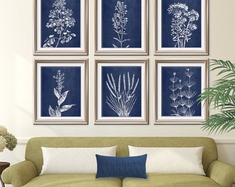 Ferns Garden Botanical Prints Series E Set of 9 Art Prints
