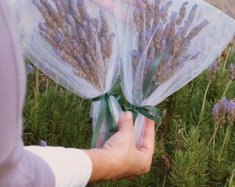 Dried Lavender bouquet from Crete - Two pcs Home grown lavender bunch - home fragrance cretan herbs- natural aromatic gift, nostalgic Crete