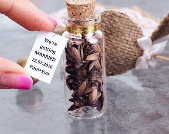 Rustic wedding favors, personalized wedding party favors, pine cones favors terrarium glass bottle, eco friendly favors fall wedding favors