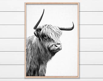 Highland Cow, Scottish Cow, Cow with Horns, Cow Print, Large Printable Art, Instant Download