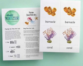 3-part cards: Marine Vertebrates printable PDF